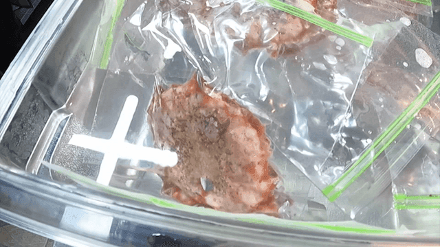 Meat being cooked in a sous vide machine