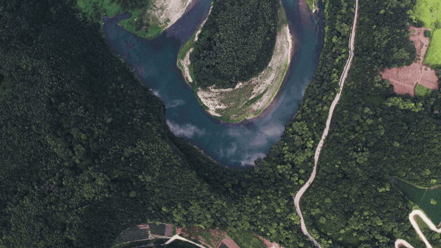 Winding river flowing through green forest