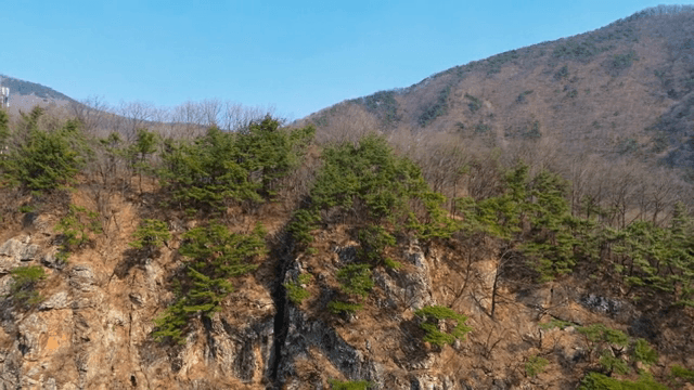 숲이 우거진 산 풍경