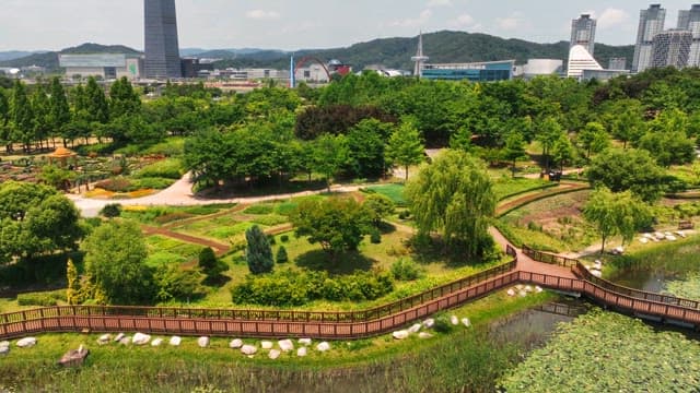 연못이 있는 푸른 공원의 항공 뷰