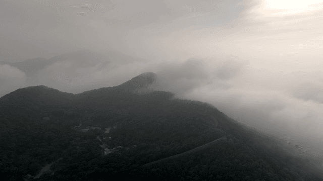 짙은 안개가 낀 산
