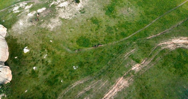 Horses and people crossing a vast grassland