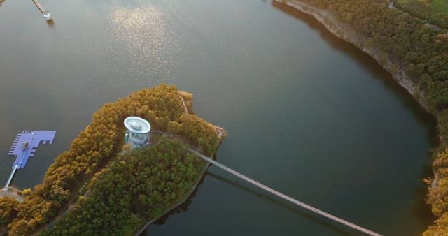 Serene lake surrounded by lush forests