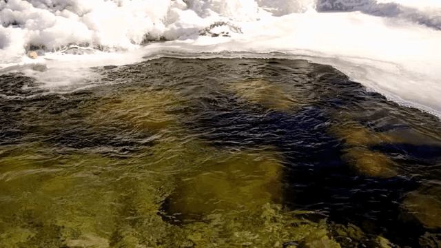 겨울의 얼음과 흐르는 강