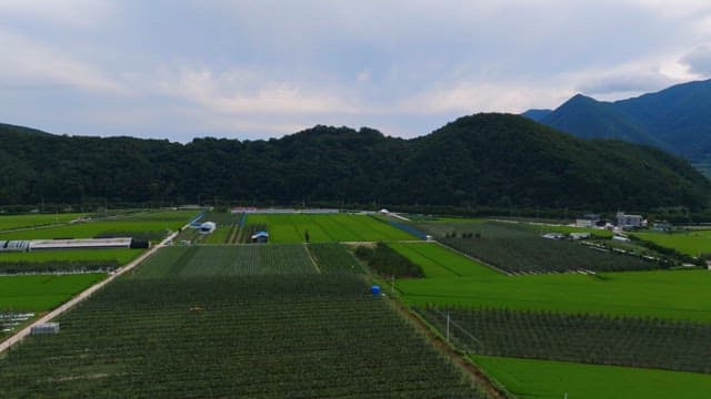 Expansive green fields with distant mountains