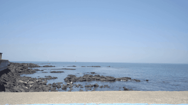 Coastal view with wind turbines