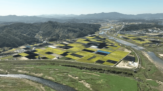 산을 배경으로 한 넓은 농경지