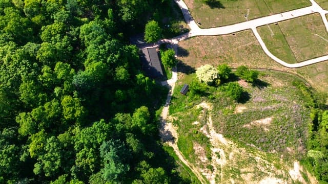 Aerial view of a lush green forest