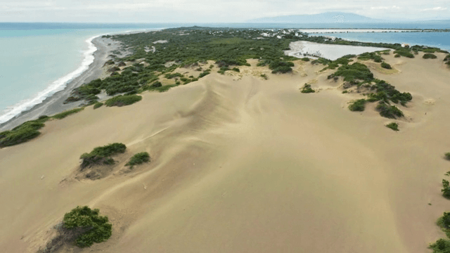 바다 옆 광활한 모래 언덕