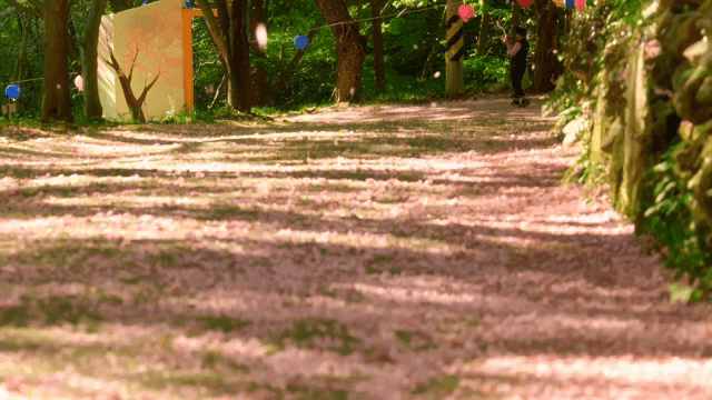 숲길에 떨어지는 벚꽃 잎