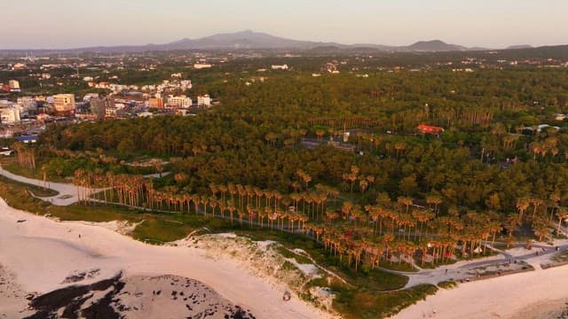 Coastal town with lush greenery and beach