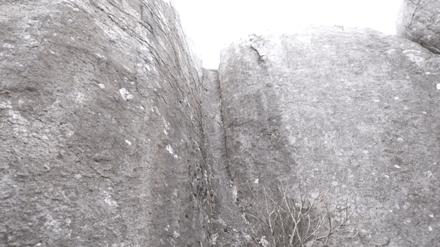Close-up view of a rocky crevice