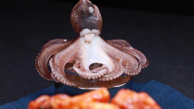 매콤한 쭈꾸미 떡볶이 한 접시