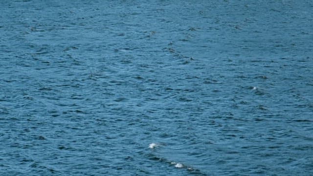 낮 시간 잔잔하게 흘러가는 물 표면