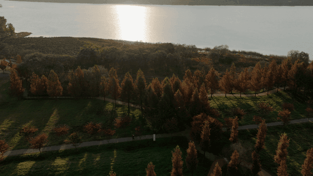 저녁에 호수 옆 고요한 공원