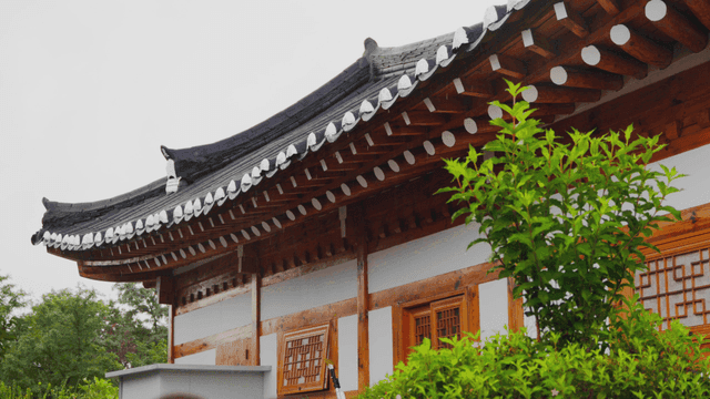 푸른 나무와 전통 한옥 기와 처마