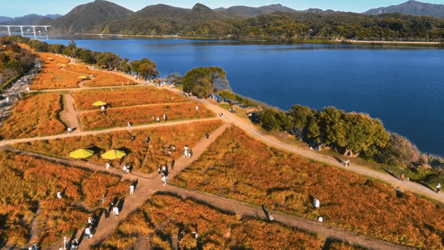 화려한 꽃밭이 있는 경치 좋은 공원