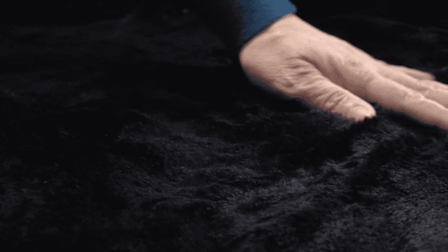 검은 털 표면을 부드럽게 쓰다듬는 손