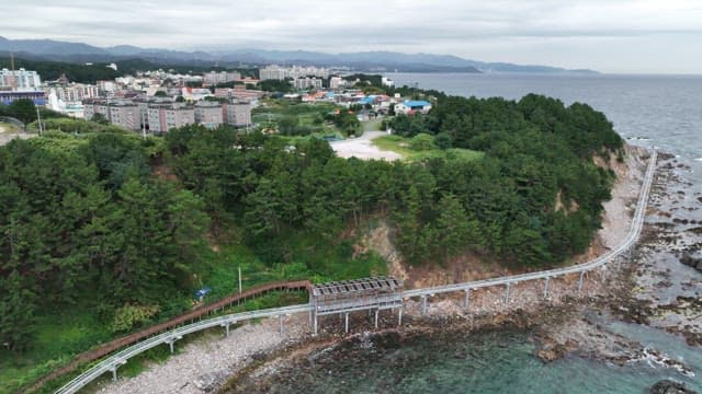 푸른 숲과 고요한 바다가 있는 해안 마을