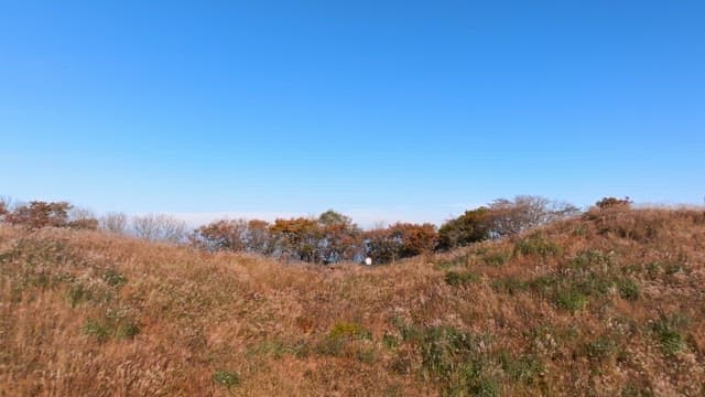가을 언덕의 고요한 풍경
