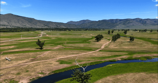 멀리 산이 보이는 넓은 초원