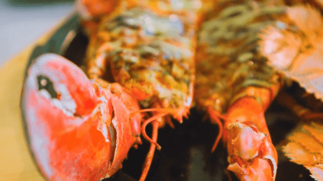 소스를 곁들인 구운 랍스터