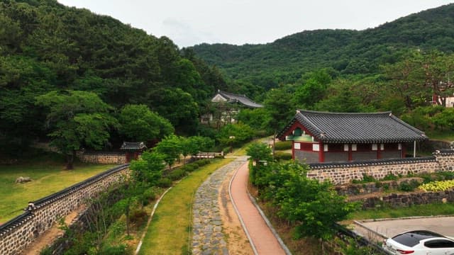 Traditional hanok village surrounded by lush trees