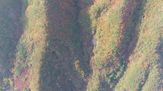 View of a mountain with autumn foliage