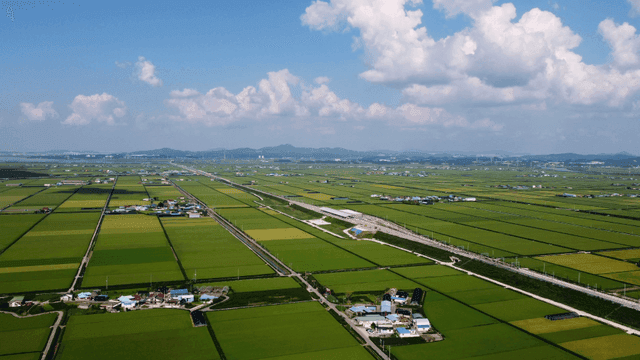 Green fields spread out under blue sky