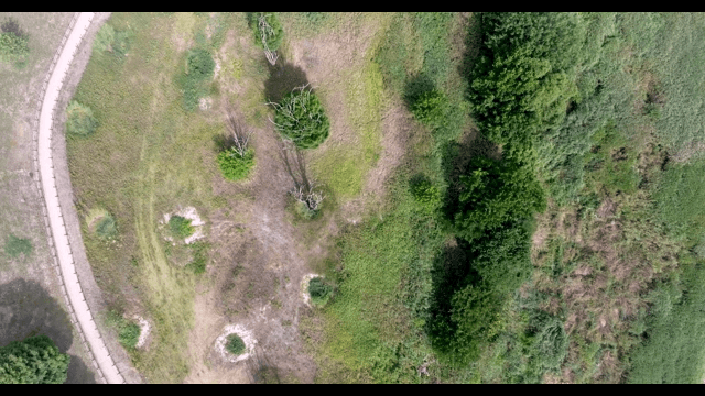 Aerial view of a lush green park with paths