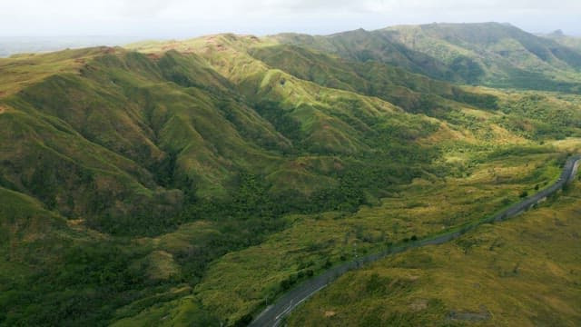 연둣빛 녹음이 진 언덕을 지나는 꼬불꼬불한 도로