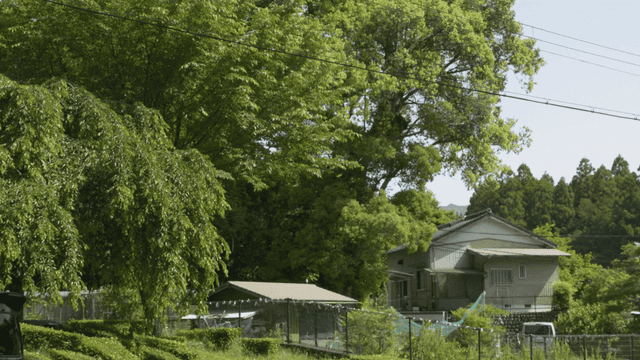 Country house surrounded by green trees
