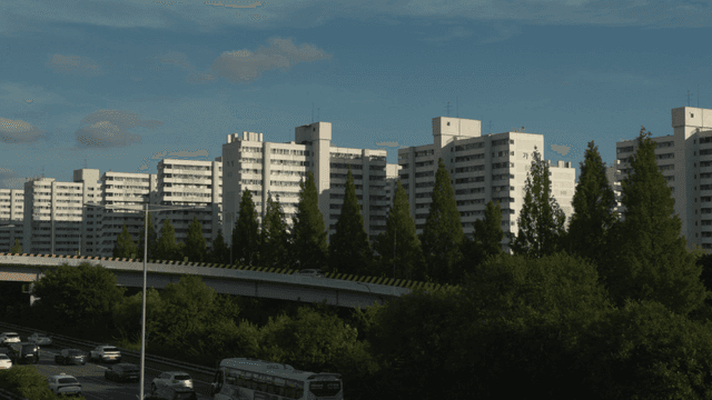 Apartment complex seen behind roadside trees