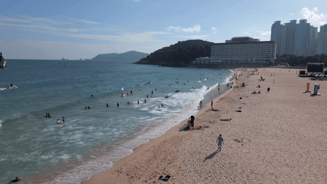 Bustling beach with people enjoying the sea