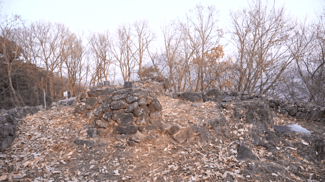 Landscape with trees and piles of stones in winter