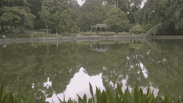 Park with calm lake
