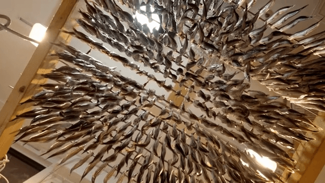 실내에서 말리는 생선