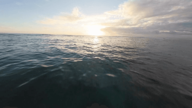 보트가 있는 고요한 해변의 일몰