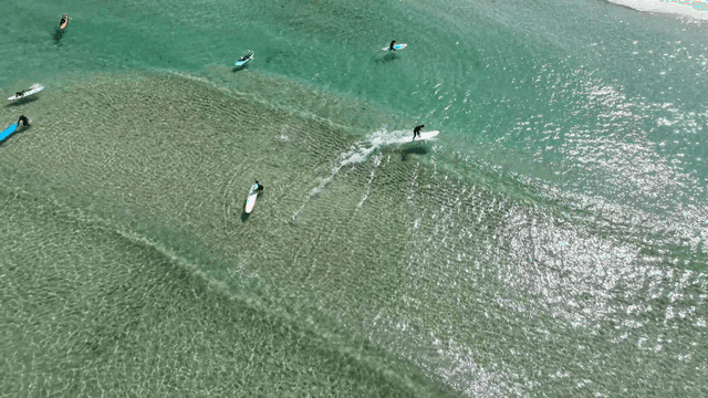 해변에서 파도를 즐기는 서퍼들