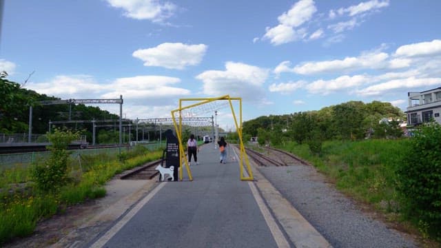 Two women walking dogs on a sunny day at a train station