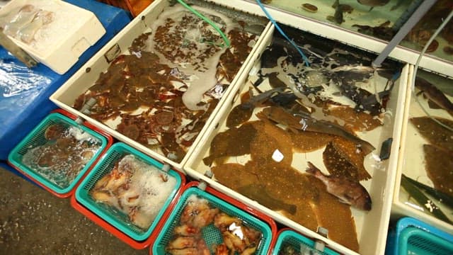 Fresh seafood on display at a market