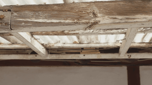 Old wooden beams under a roof