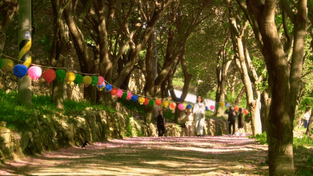 Forest path with colorful lanterns