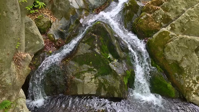 Water flowing over mossy rocks