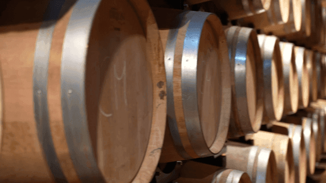 Rows of wooden wine barrels in basement