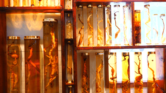 진열된 오래된 담금주들