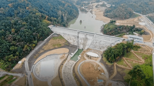 Dam surrounded by lush green forest