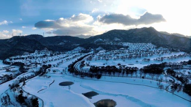 Snowy Landscape with Trees and Mountains