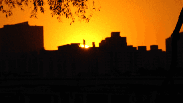 Sunset over city skyline with trees