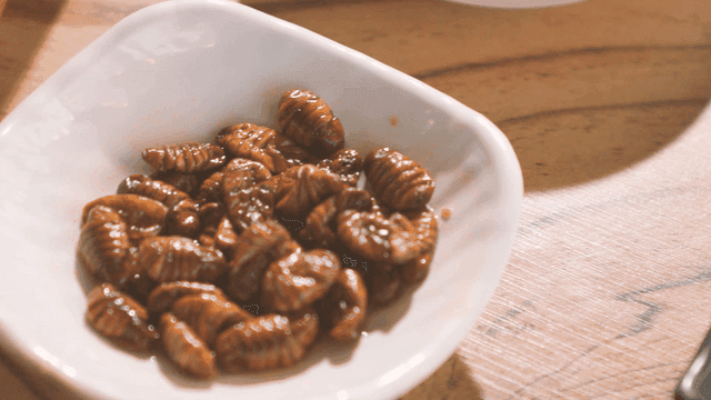 Silkworm pupae in a white dish